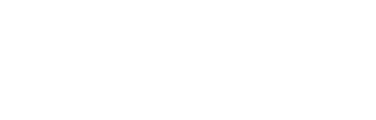 Ruckus Networks